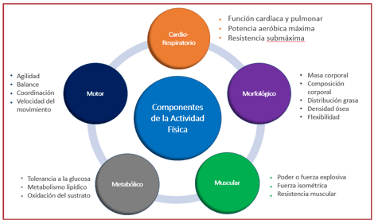 Guía Europea 2020 sobre Cardiología Deportiva y Ejercicio en pacientes con Enfermedad Cardiovascular